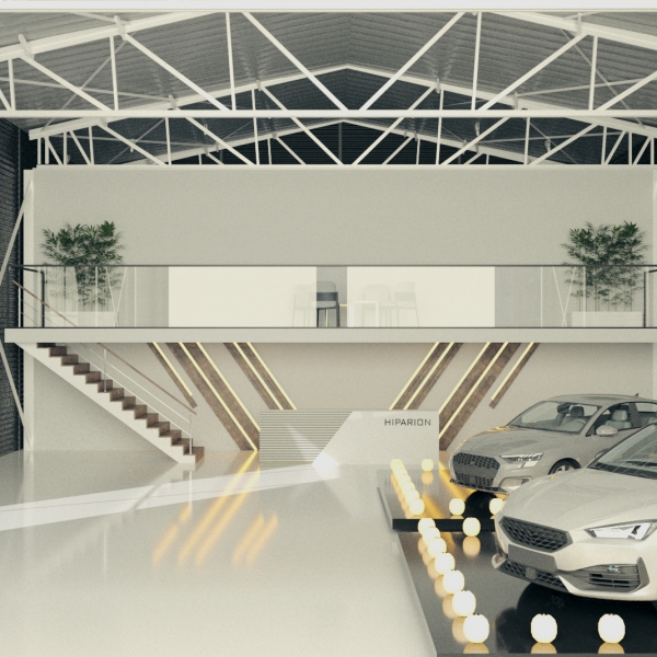 Hale service auto pe structură metalică